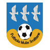 https://img.jincsci.com/img/football/team/259a1106a33b56d2bb3c458a62ffa2ea.png